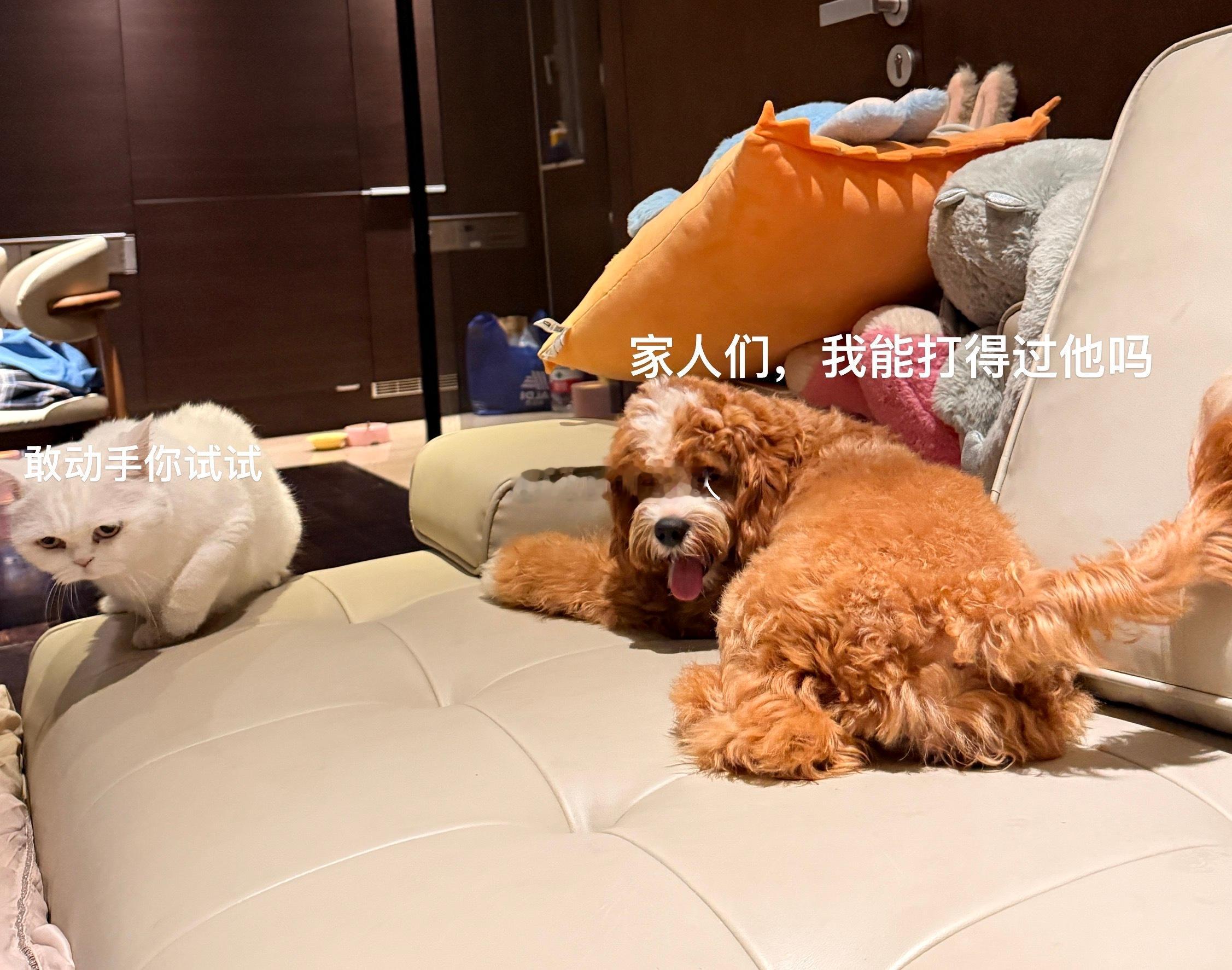 这么猥琐的角度也是被我拍到了 ​​​