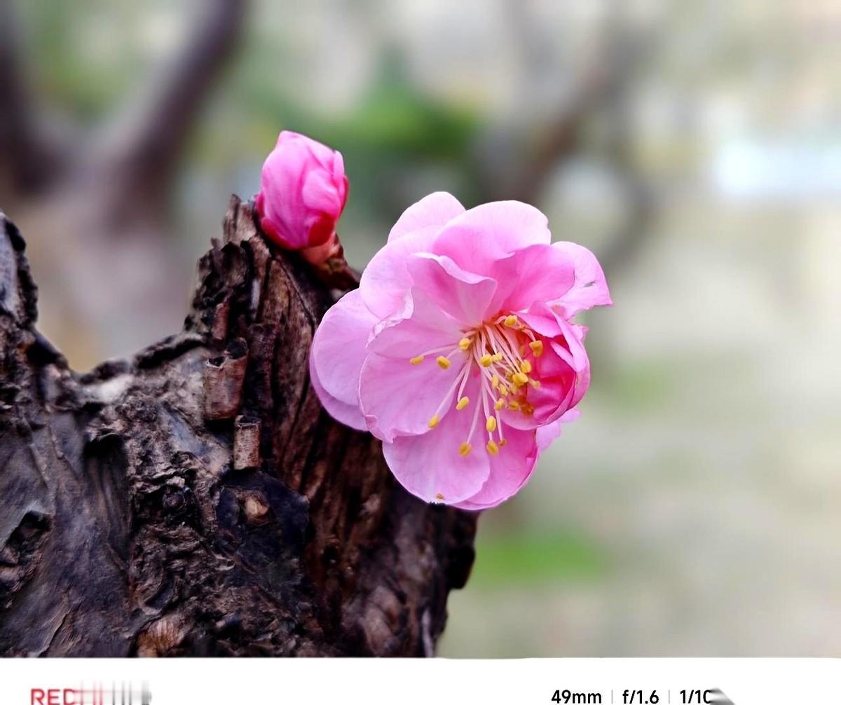 手机电量一掉到20%，心率直接飙到180。
满世界找充电宝，那感觉，比上学时找考