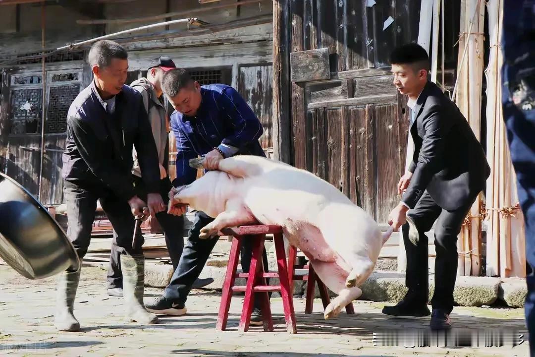 监管对市场的高度监管看来远远没有结束，风险榜上上百家公司在列，本来以为避开这些就