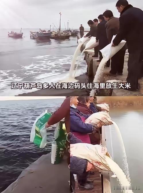 这也叫“放生〞？这是在刺农民的心！我是农村人，深知种粮不易！也知道在很多寺庙都有