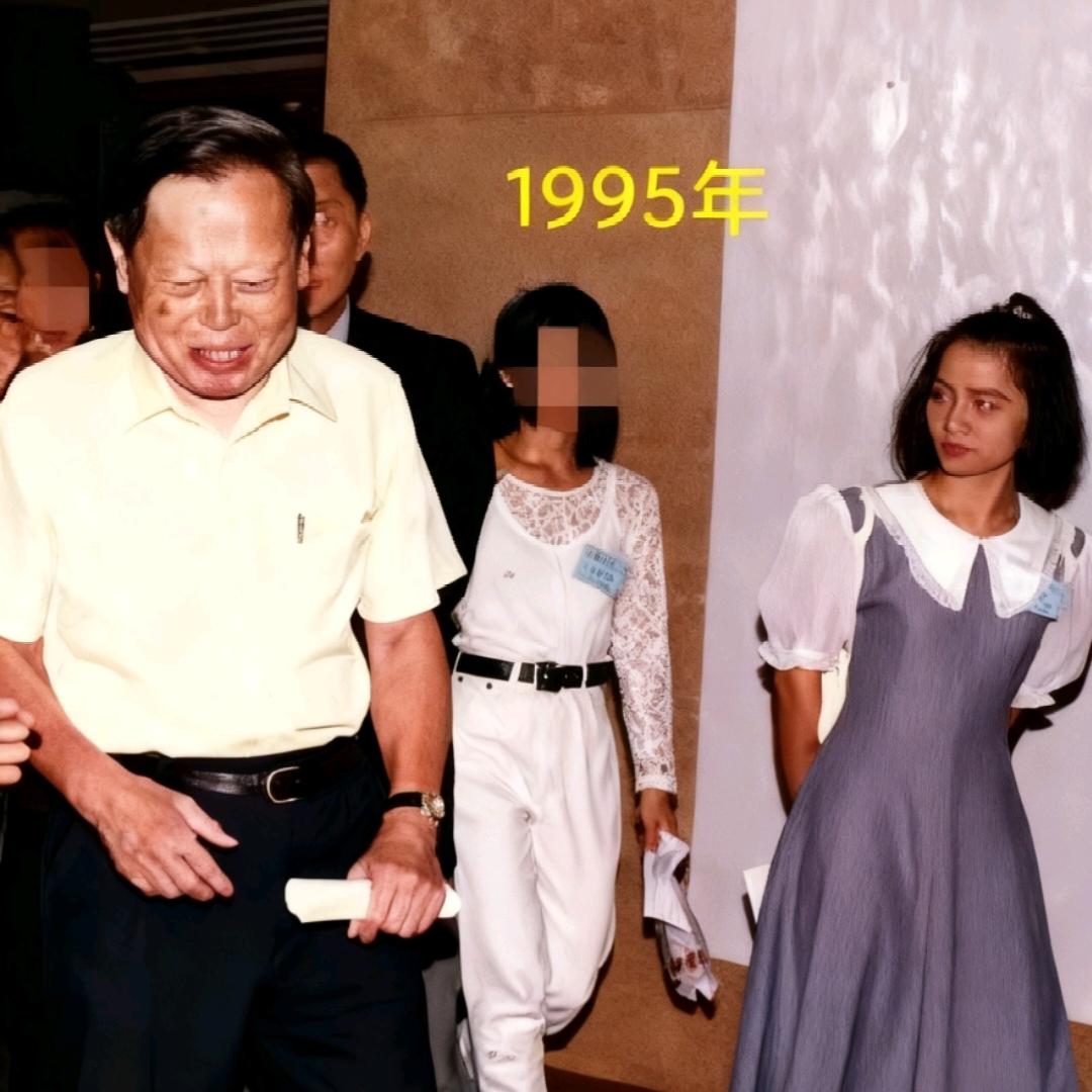 1995年，杨振宁和翁帆第一次见面的场景，这张照片虽然是无意间拍下的，但是很有价