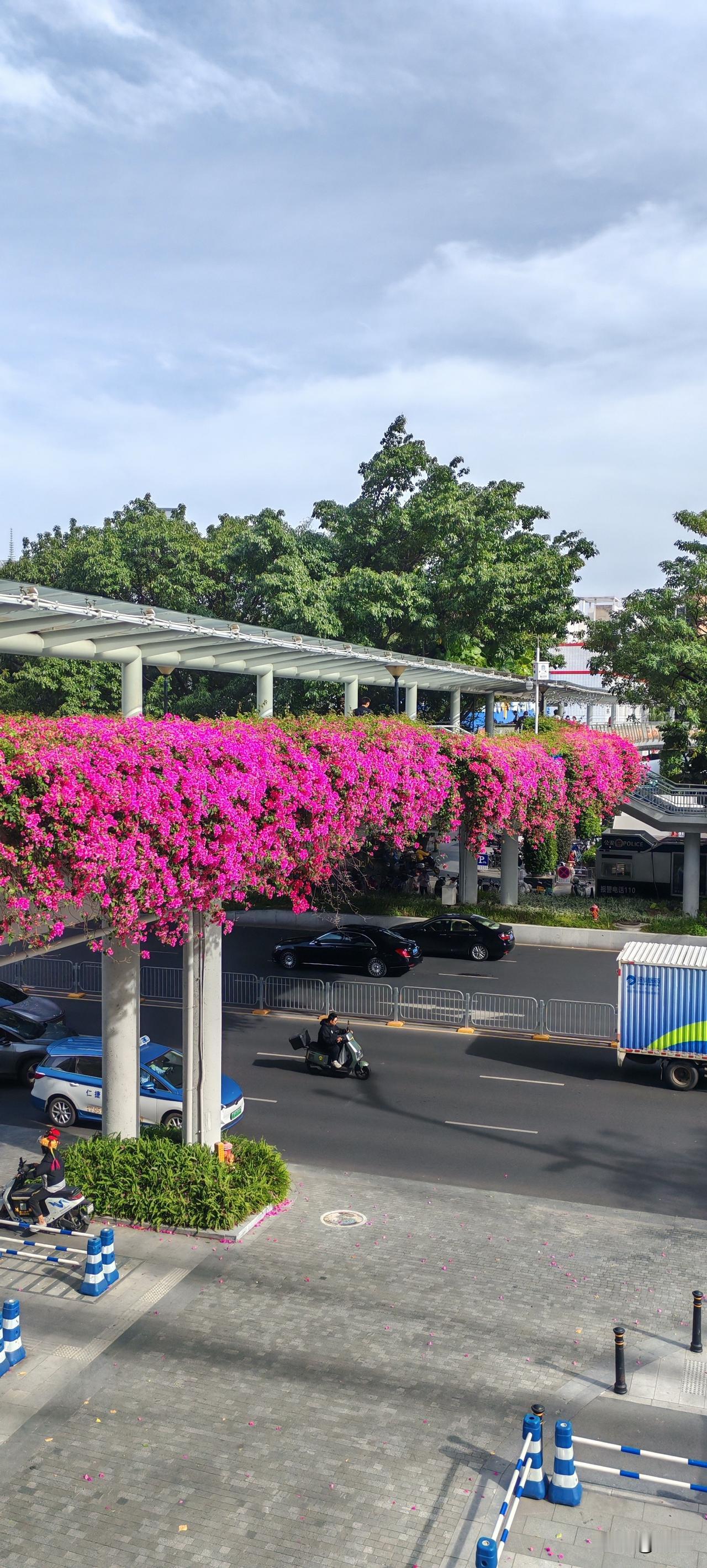 此时我的心是风不平浪不静还不安稳，因为我忘了来刮刮乐打卡了。这都半夜十一点半了，