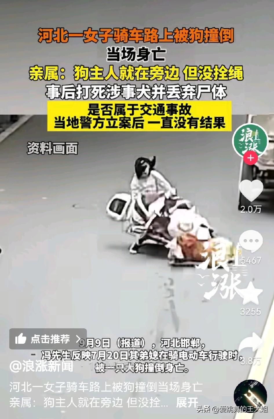 一女子骑车路上被狗撞倒，当场身亡。

一女子在骑电动车行驶时，被一只大狗撞倒身亡