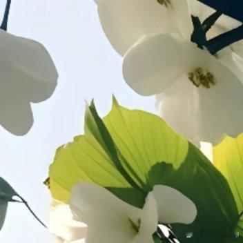 来是偶然，去是必然，尽其当然，顺其自然。得之淡然，失之泰然，争其必然，自然而然 