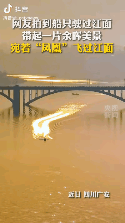 火上央视了，近日四川广安，一个网友在江边散步，回头一看发现江面上有金色的东西，他