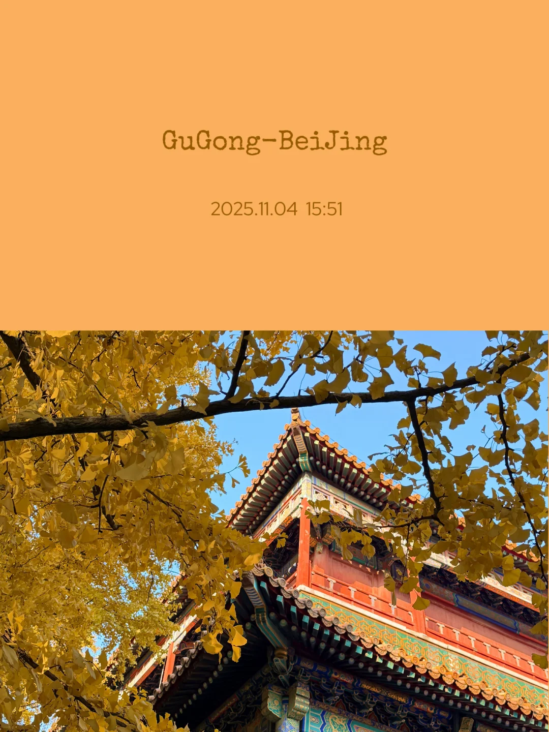 一种很新的旅行记录方式🎞️（live版）