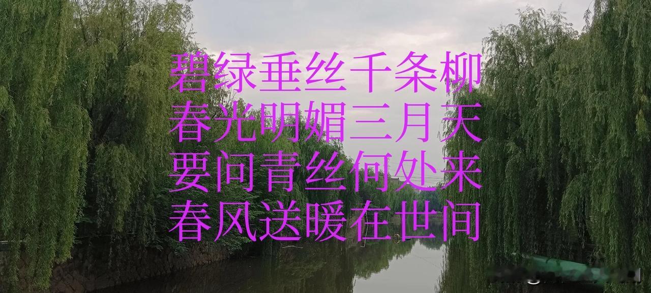 随手拍原创
人生就是一篇写不完的文章
岁月的轮回是
春夏秋冬
生活的轮回是
晚睡