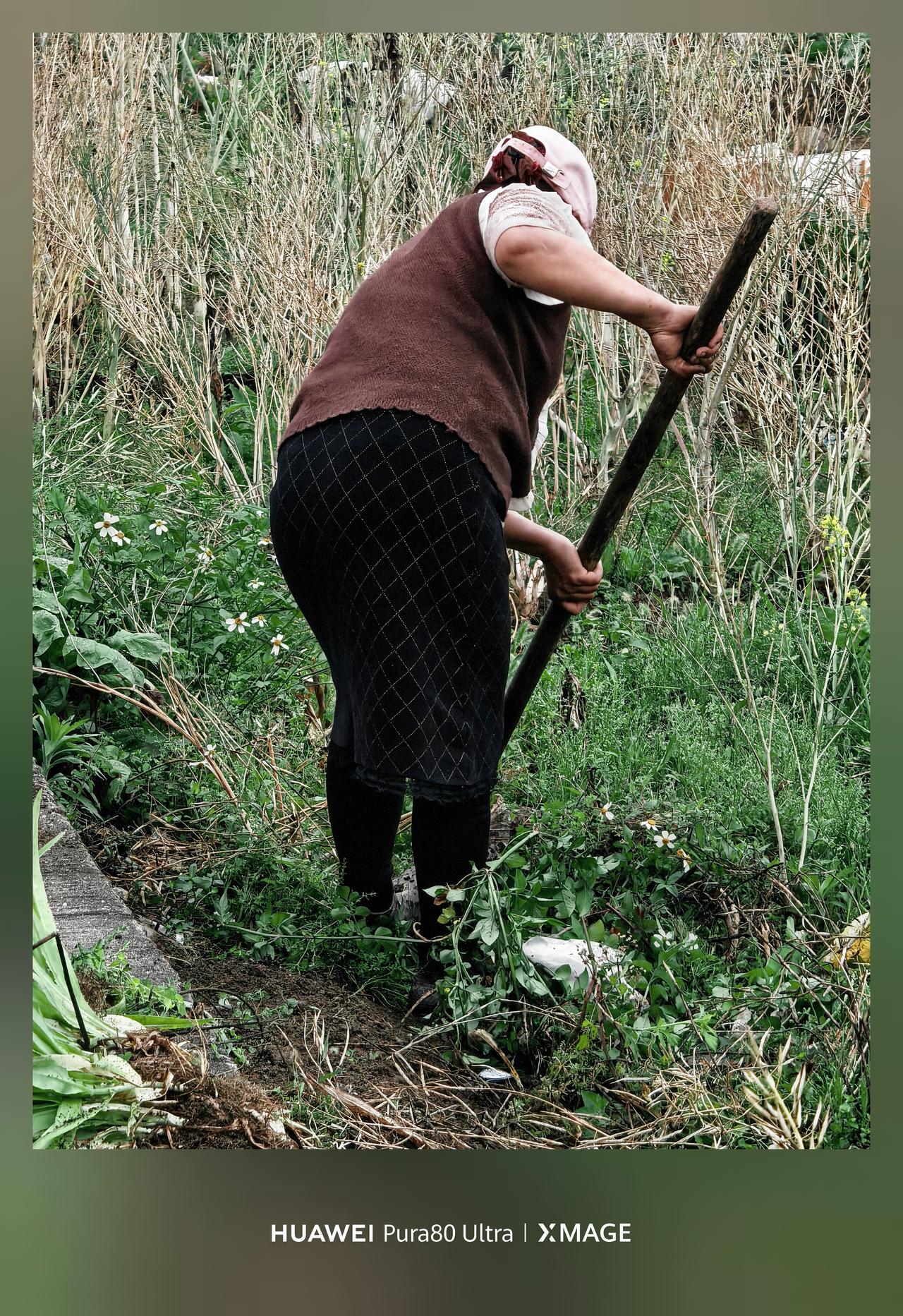 Pura80ultra XMAGE影像 一镜双目 个性色卡，春暖花开春种～

春