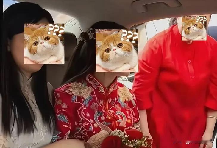 “这就是无事生非的下场！”河南商丘，新娘在结婚时竟然听从了闺蜜的意见，下婚车之前