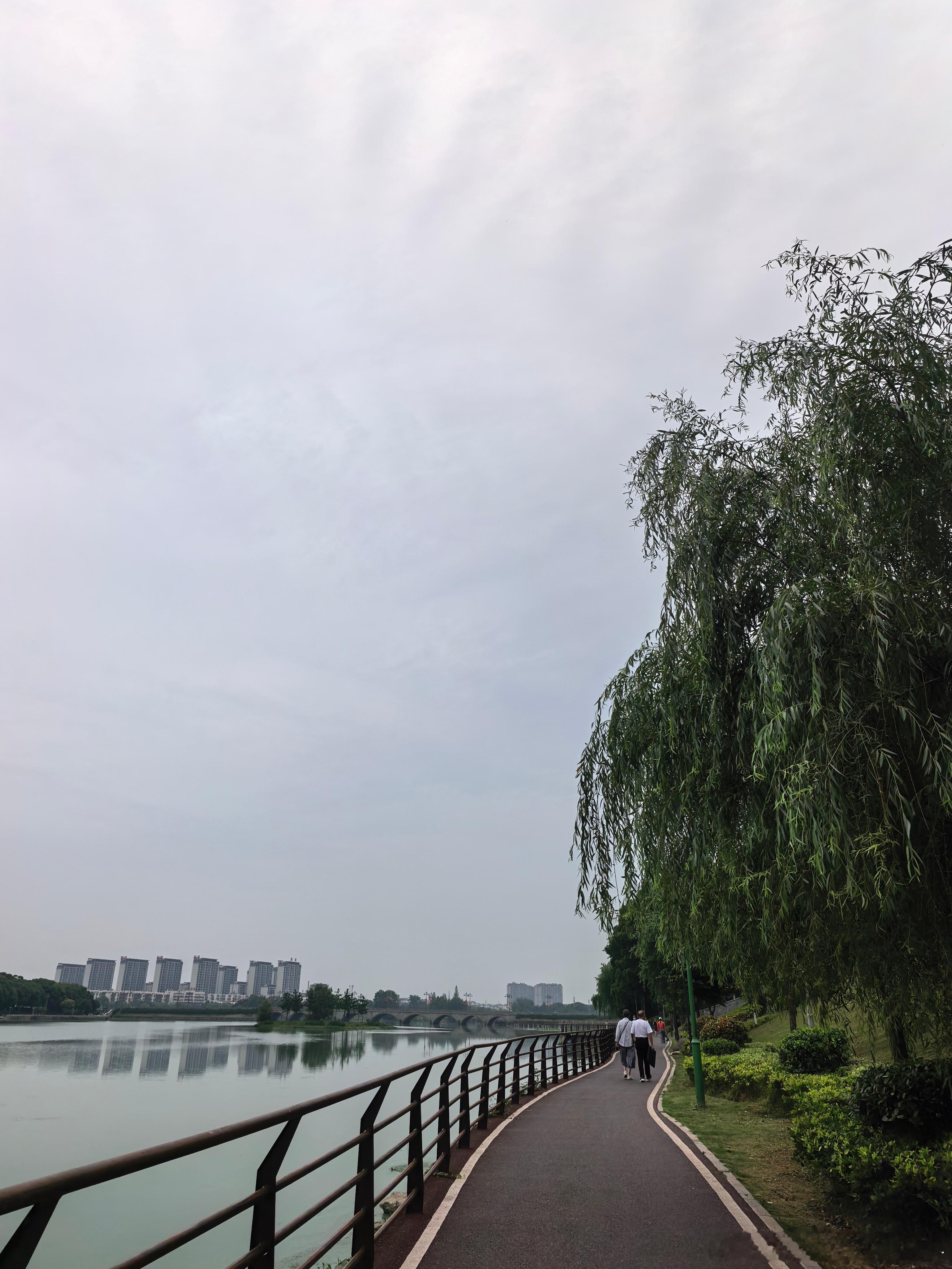 早安。周末愉快。真是啥人都有。刚刚从桥下过。跑步的人有点多。有个吹笛子的就把电瓶
