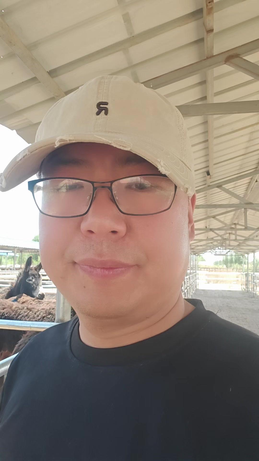 🤔新手买驴苗能挣钱吗？买便宜驴苗不一定能挣钱。很多新手容易因不懂真实驴价格而上