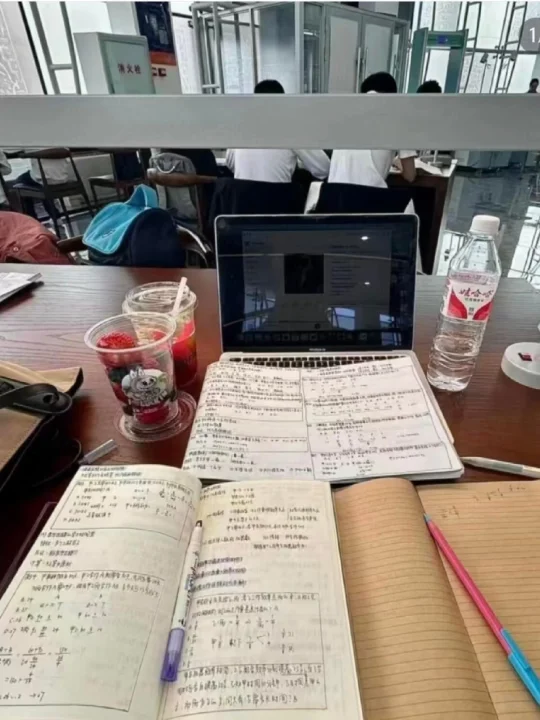 姐天生就是公务员！