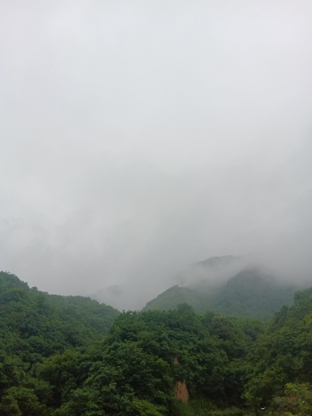 奇怪的规律！

冷静了一夜，终于想发现了！

股市有个不变的魔咒，那就是“节前必