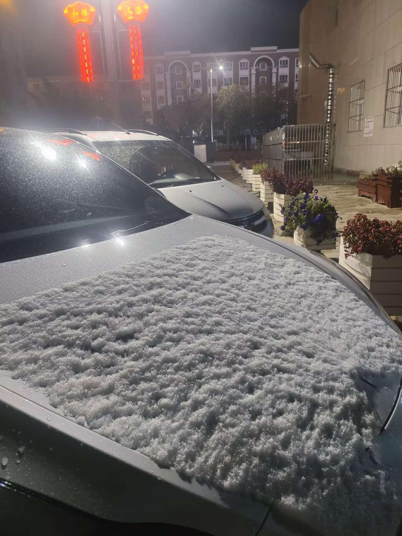 昨天夜里，新疆已经迎来了今年入秋来的首场降雪。

已经有落雪，说明温度已经降到了