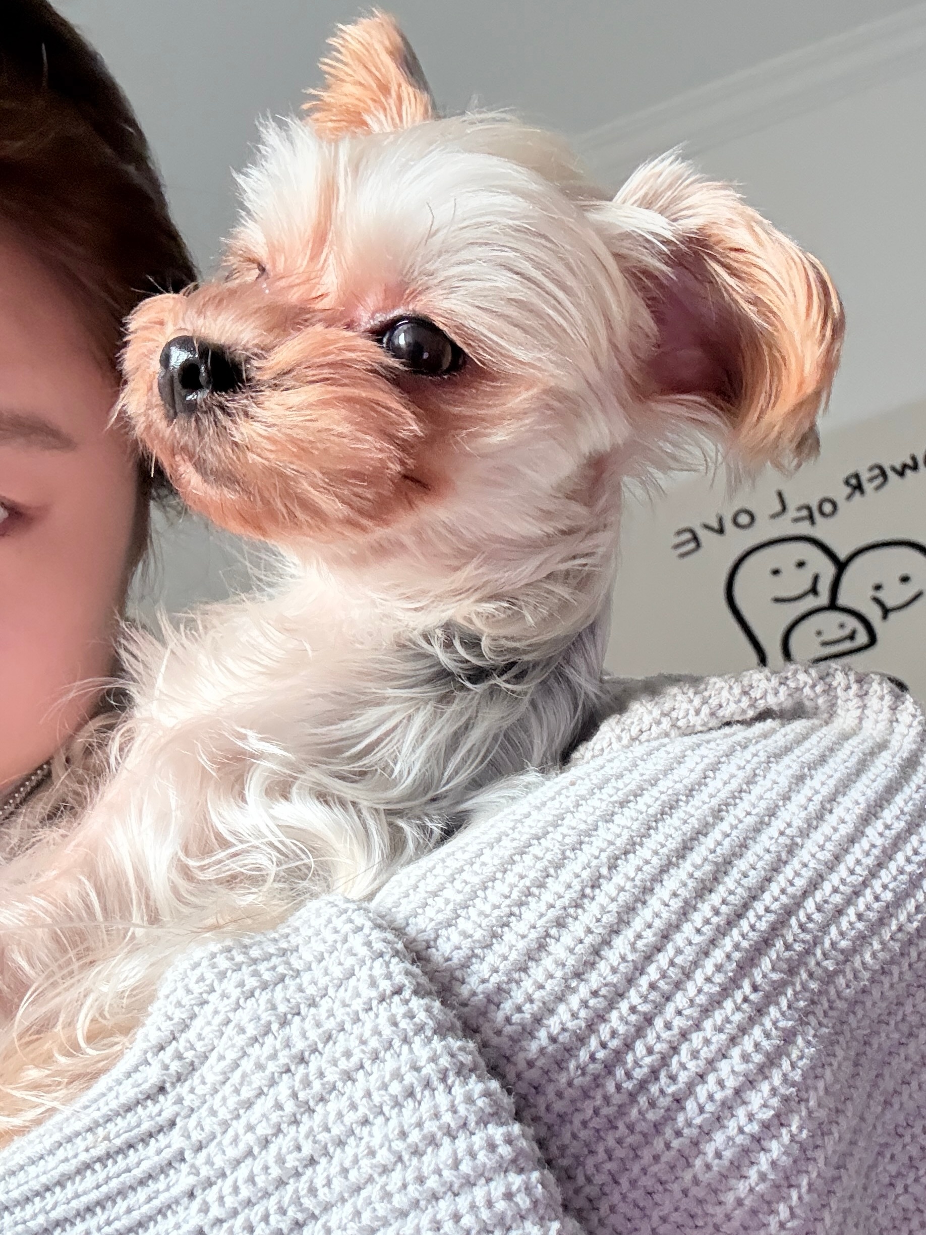 小板和小板阻止爸爸妈妈看电视的屁股 