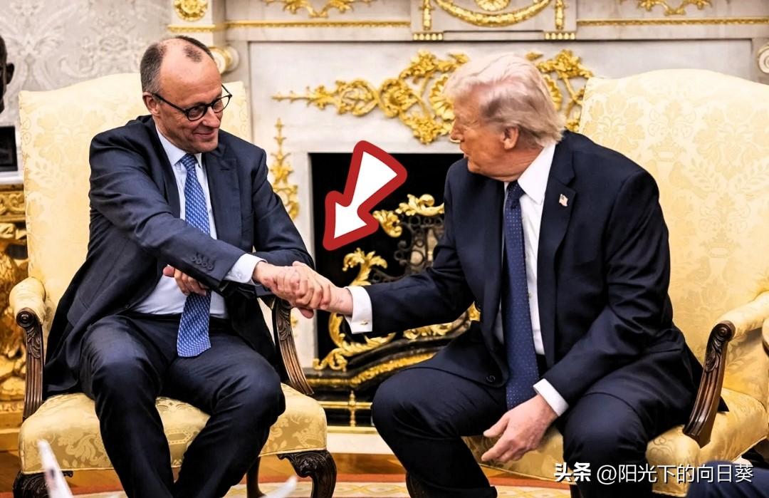 这张照片最近传疯了！

德国总理默茨在白宫，气场直接拉满，

当面跟特朗普亮明立