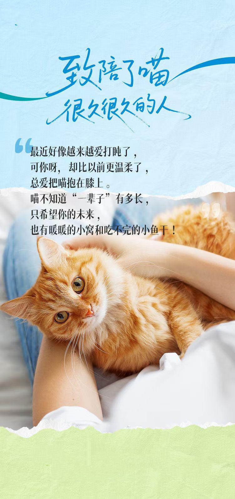 8月8日国际猫咪日，铲屎官集结
查收来自喵星人的「家书」 
你瘫成“猫饼”时，T