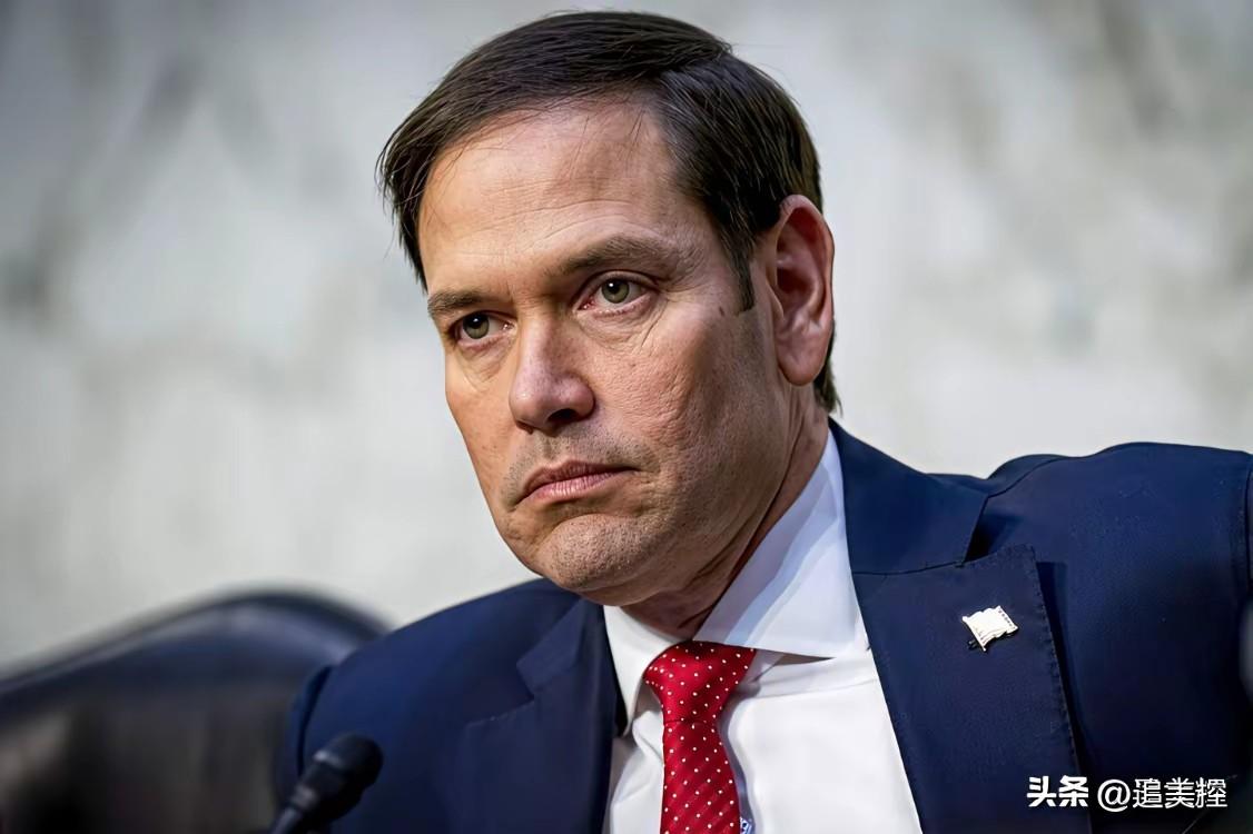 弱肉强食、丛林法则本就是就是西方盛行的一种理念，他从诞生到现在都没有消失，在今天