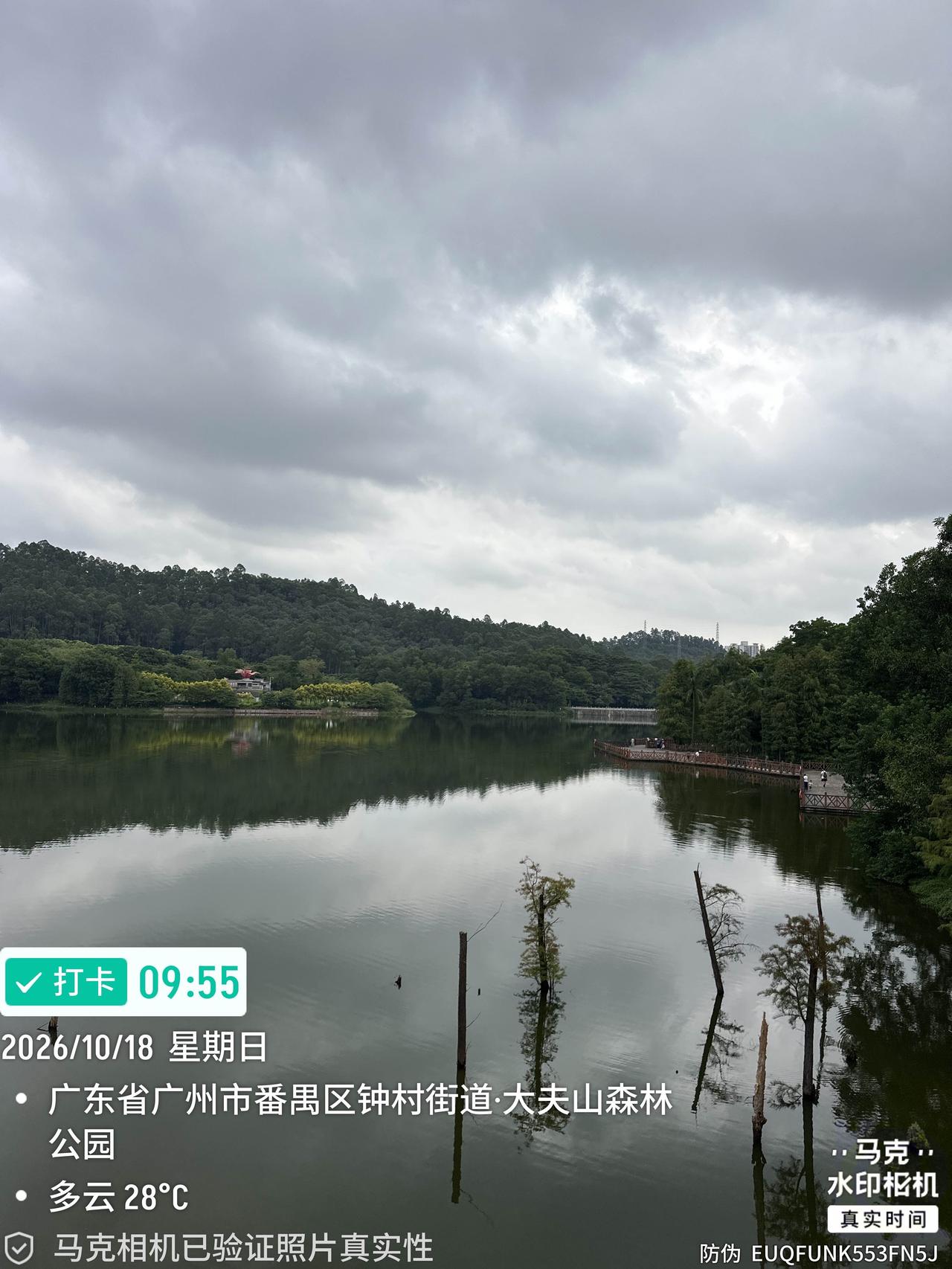 今天是重阳节，吃完早餐便去大夫山爬山，也许是应节又遇上周末，今天进公园的游人特别
