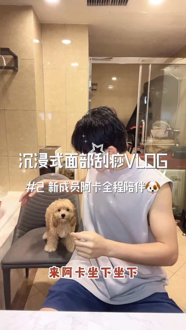 下期介绍双胞胎弟弟辛纳🐶Cr:zhangzhehan_super3 ​​​