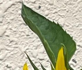 阳光信用超话 ☀️阳光信用 每日一善
1400我们要想心系祖国就一定要确立一个远