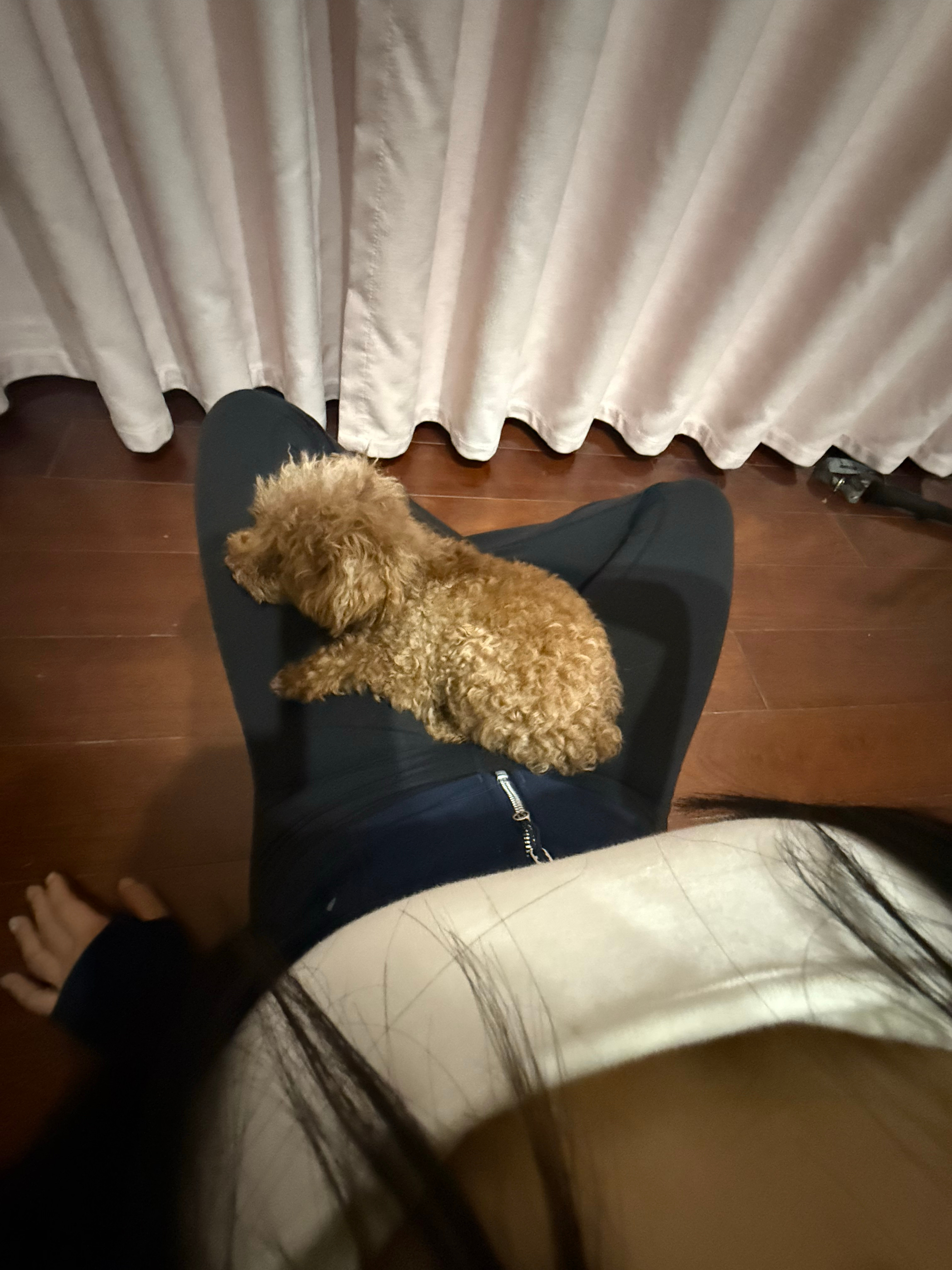 土豆就是这么喜欢我～