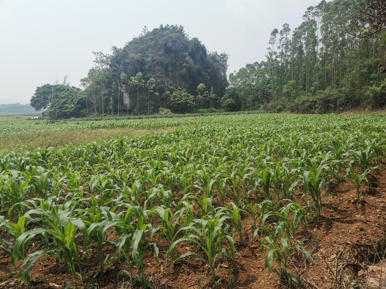 宝妈晒娃被催就医，孩子确诊脑积水！这些信号，爷爷奶奶一定要懂！

家人们，这条新