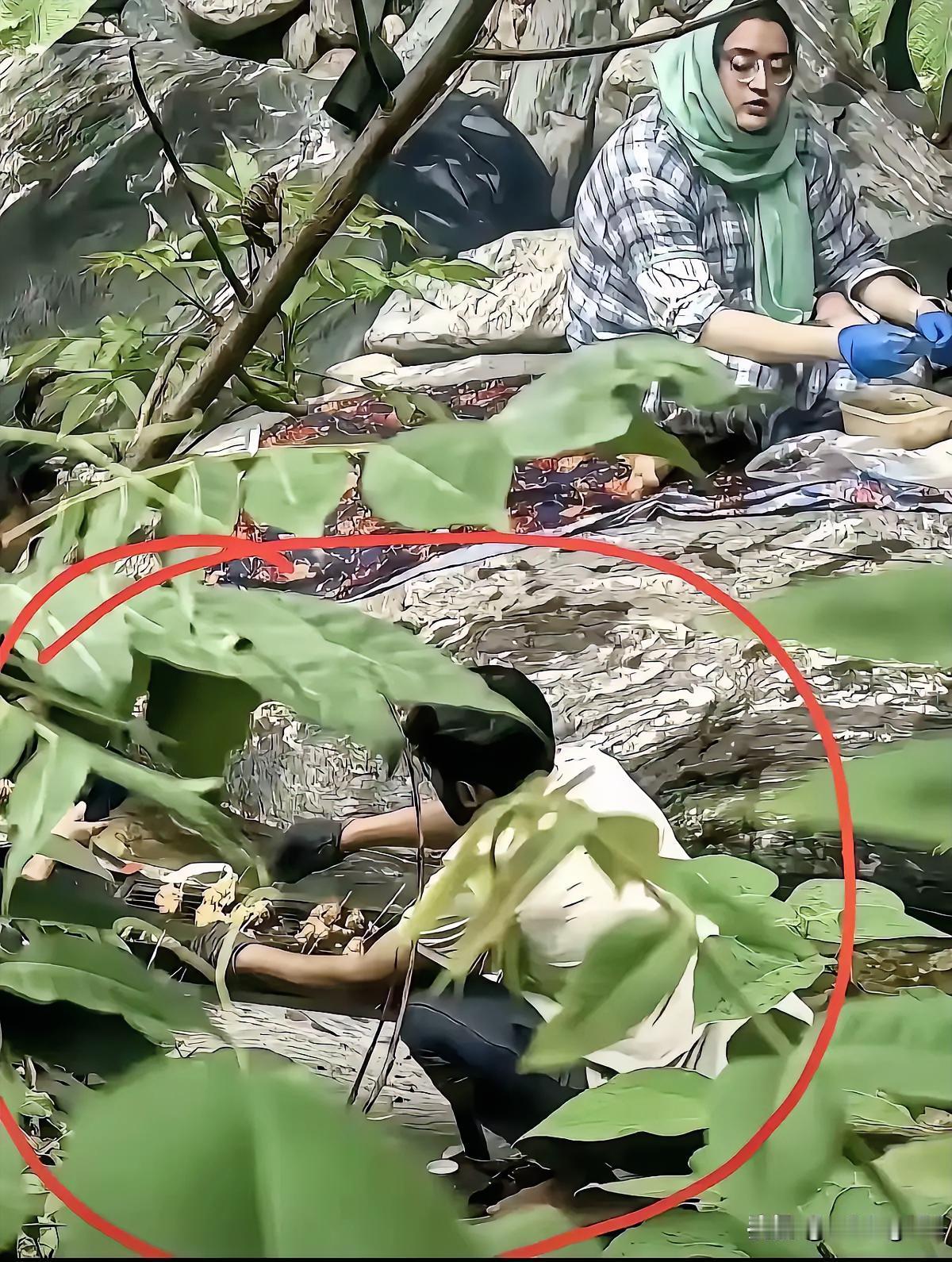 阿三在秦岭防火区内烧烤后续来啦。
人找到了，已经传唤调查，具体处罚结果要等官宣。