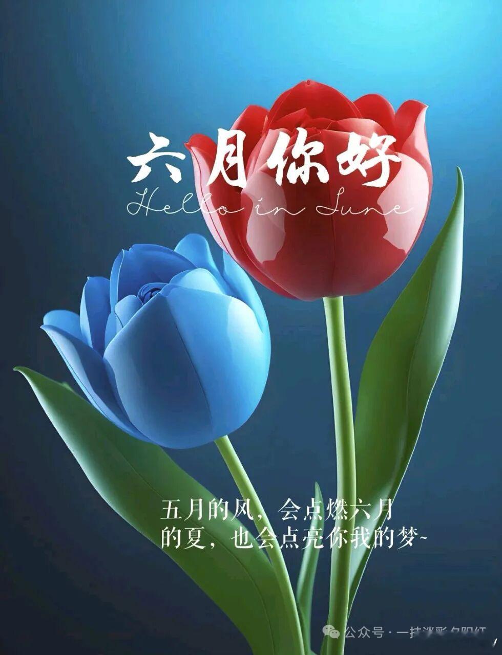 随笔  当我们放下对圆满的执念，那些生活中曾以为是缺憾的裂缝，反而成了阳光洒落的