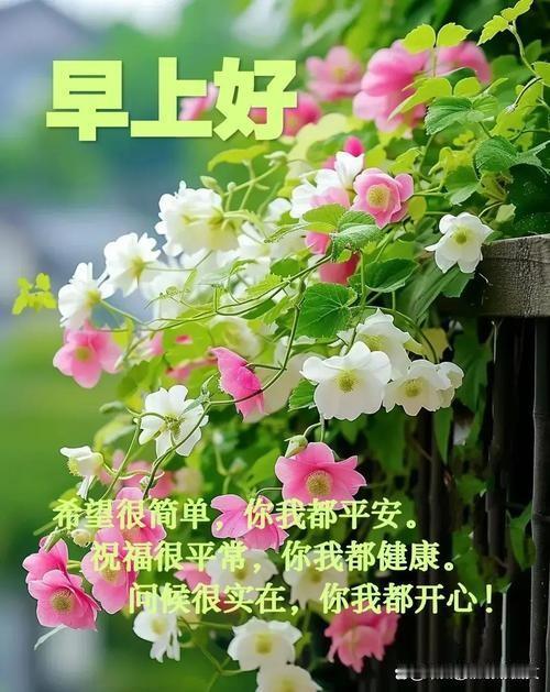 普通人的生活是不是都是一地鸡毛?
怎么可能
心态决定一切
多数人的生活都是
幸福