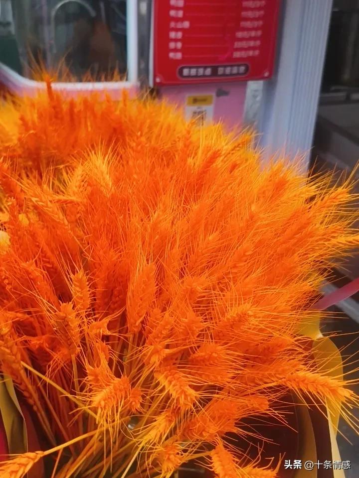 心态达不到对应的状态，就承接不了对应的财富和能量。不能让任何人的言行，我说的是任