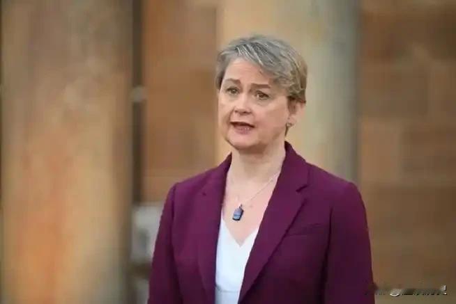 果然，在绝对的实力面前，都得跪下唱征服，自马克龙访华之后，欧洲各大国领导人都想争