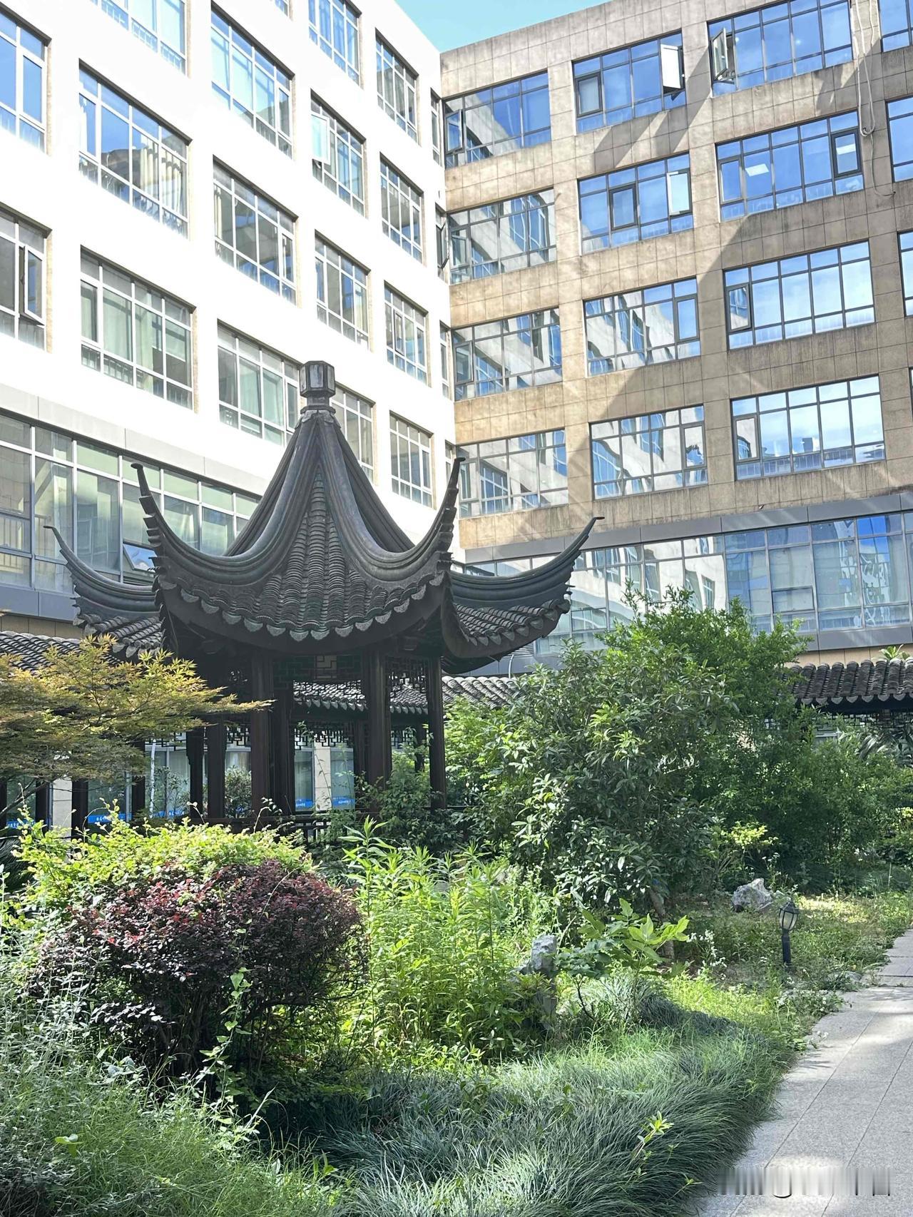 现代与传统交融的院落一角，古风亭台与绿植相映成趣。