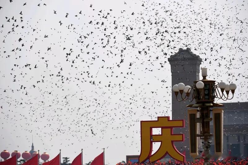 南京放飞3000羽和平鸽 2025年12月13日，南京大屠杀死难者国家公祭仪式上