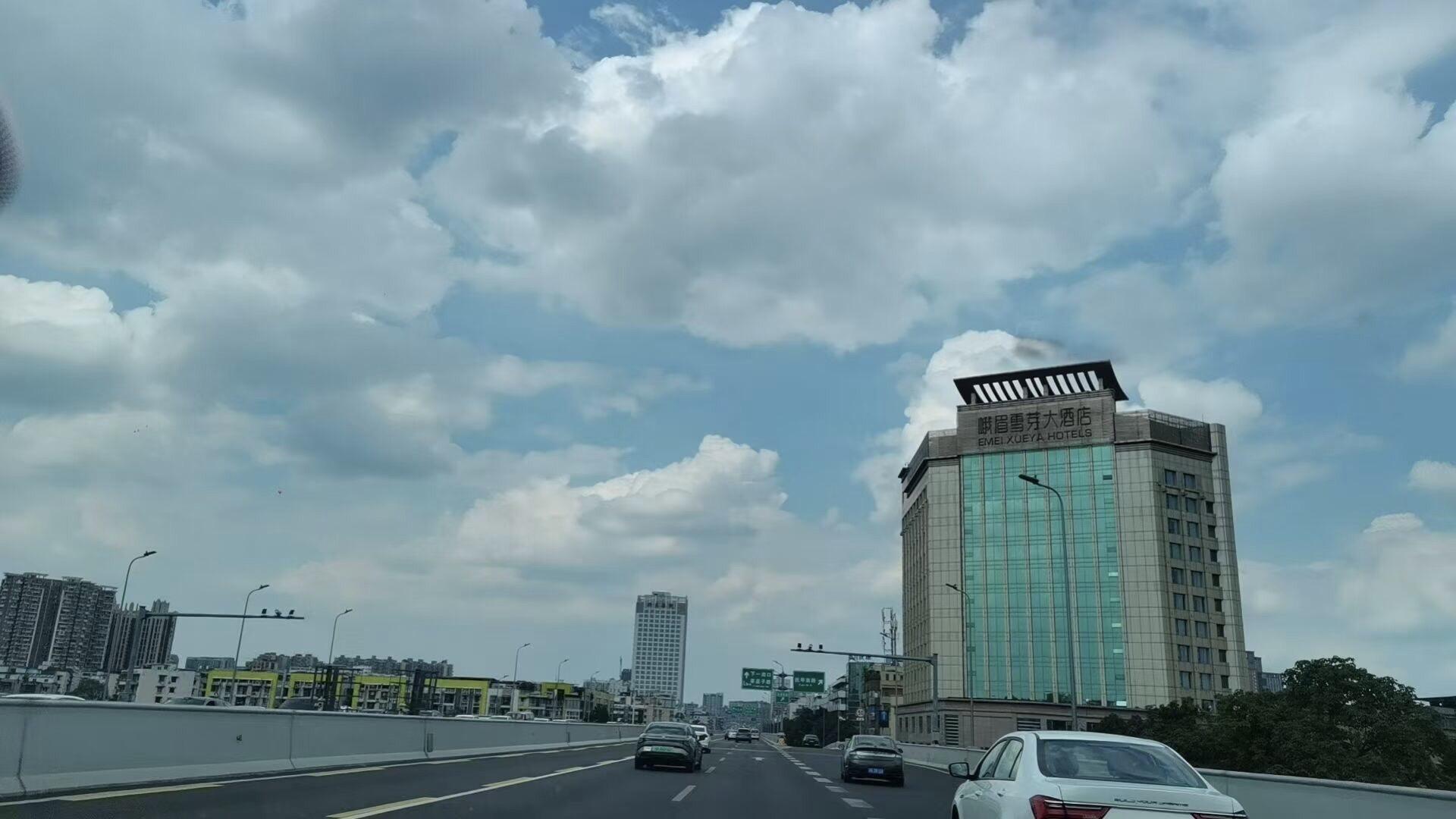 《老大嫁作商人妇》，先婚后爱+糙汉，真的太拿捏我啦！落魄狼系商人×软糯...