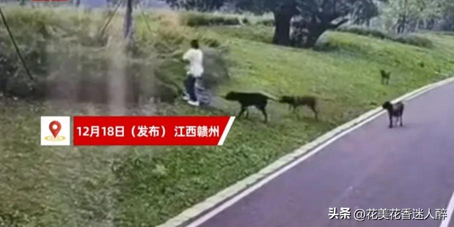 据网络某媒体报道，11月17日江西省，赣州市章贡区，滨江公园一名30左右的妇女带