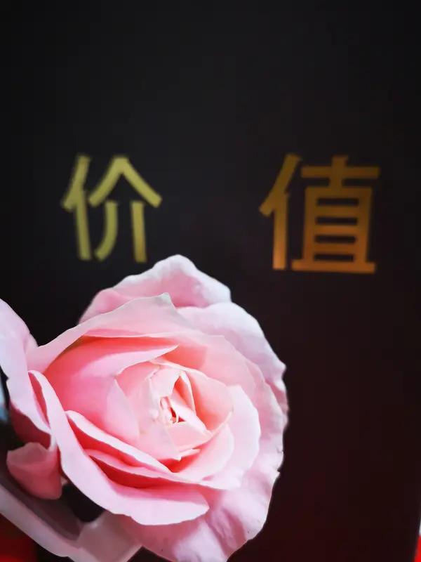 性格太软的人，总在被冒犯时不知如何是好，以为反击就是翻脸、争辩或沉默，其实不然。