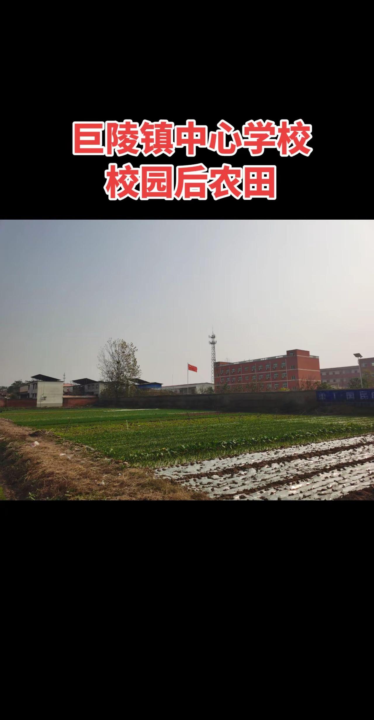 漯河市临颍县巨陵镇原创视频 记录生活 随拍乡村守护人想