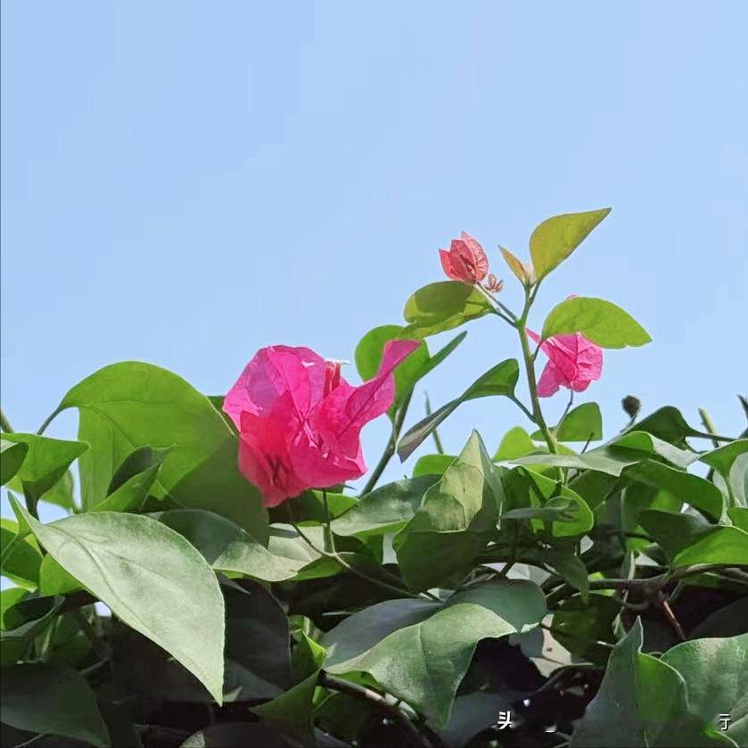 荆们市迎来新的主要负责同志
 
近日，今年55岁的陈家伟履新该市。
 
该同志2