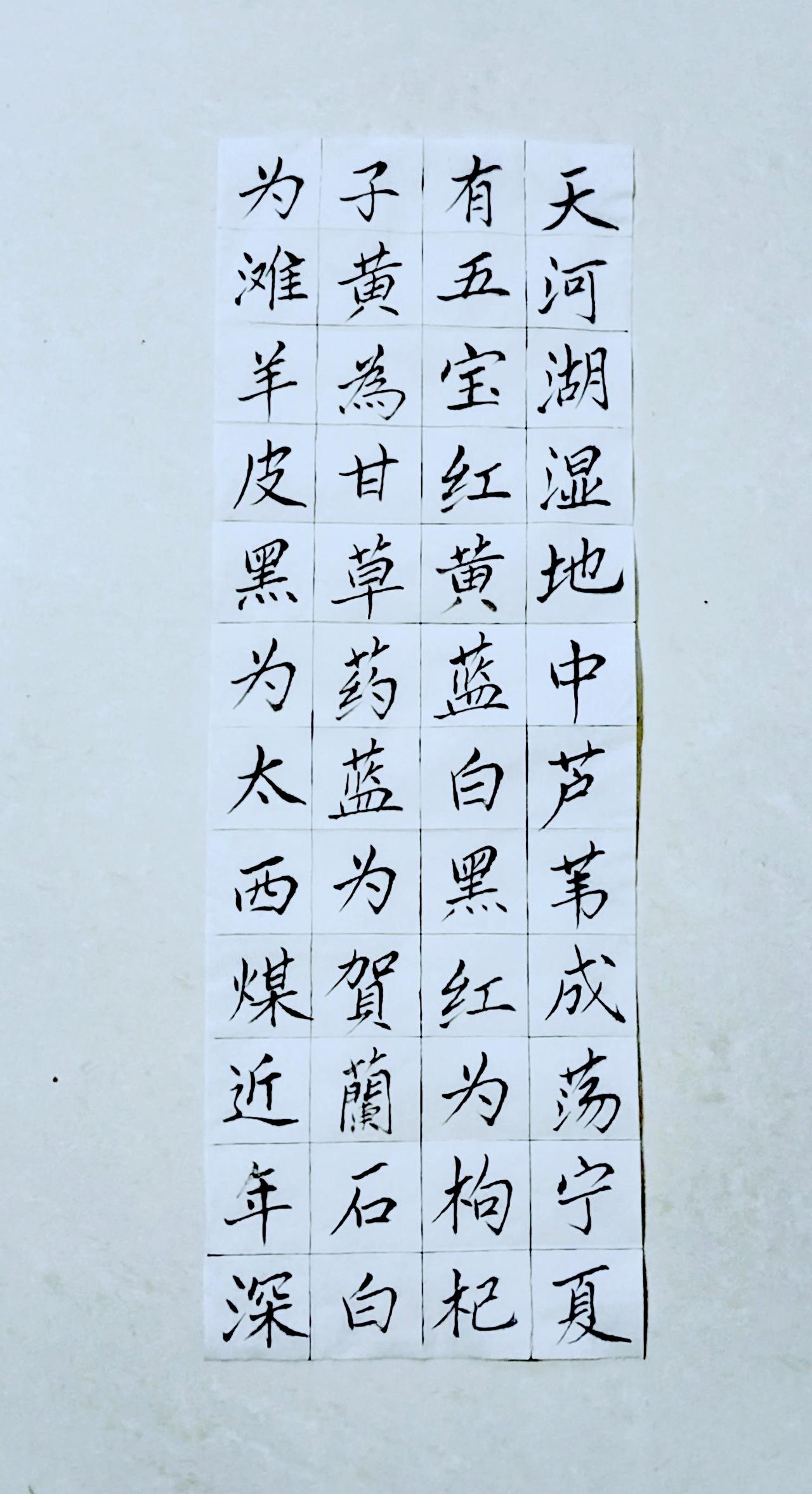 第八十七天《宁夏赋》（10）正楷毛笔练习
