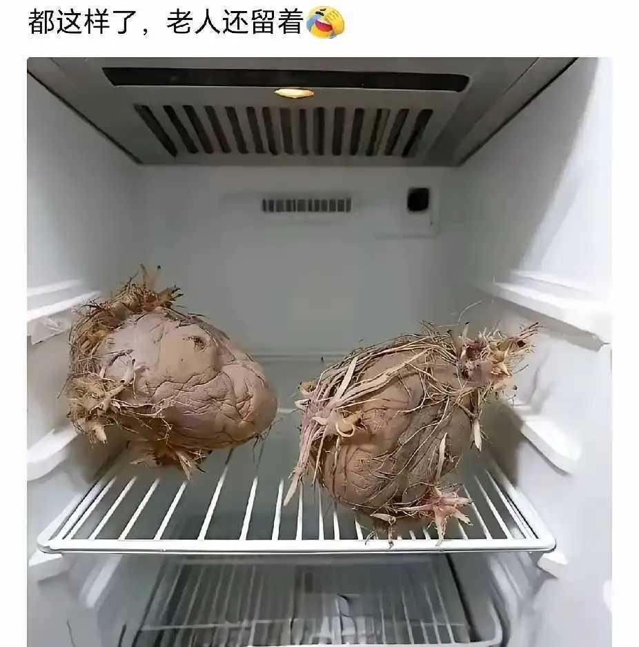 老一辈就是节约，殊不知电费都比他们贵