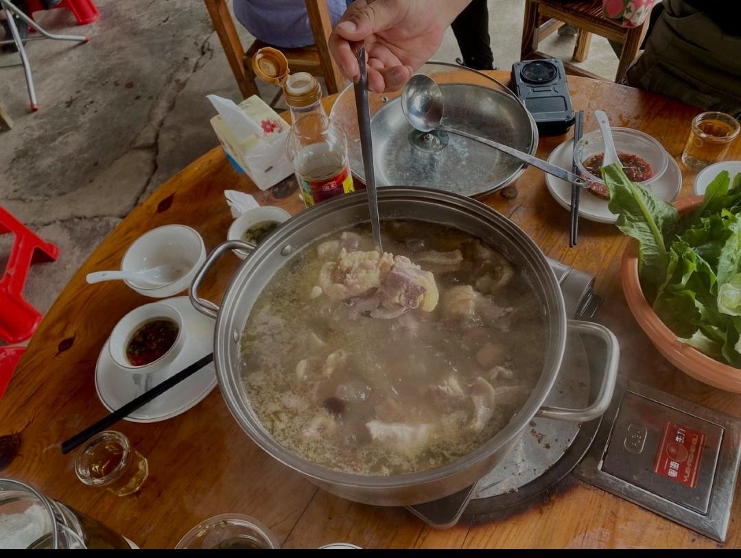 千万别盲目跟风莫氏鸡煲，佛山已有群众误吃断肠草中毒！

🔥 最近"莫氏鸡煲"爆