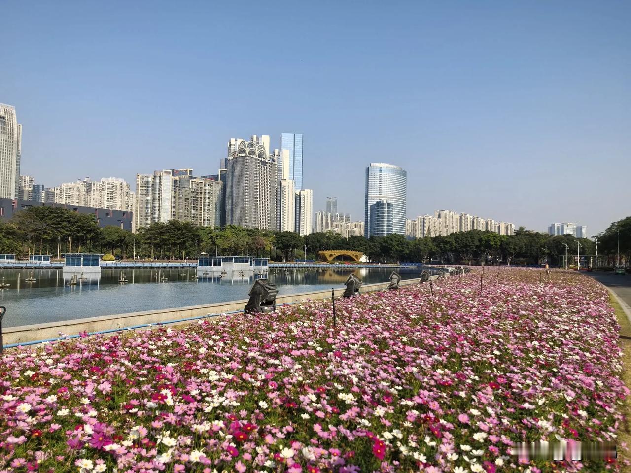 晒晒广州的城市风光被浪漫花海包围着的广州海心沙亚运公园。漫步在其中，太赏心悦目了