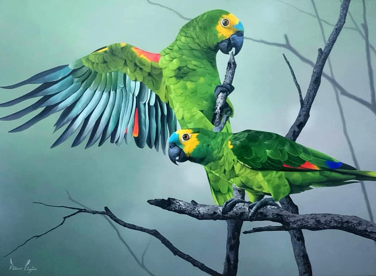 巴西画家Petterson Silva的超写实绘画作品遇见艺术遇见美好绘画参考