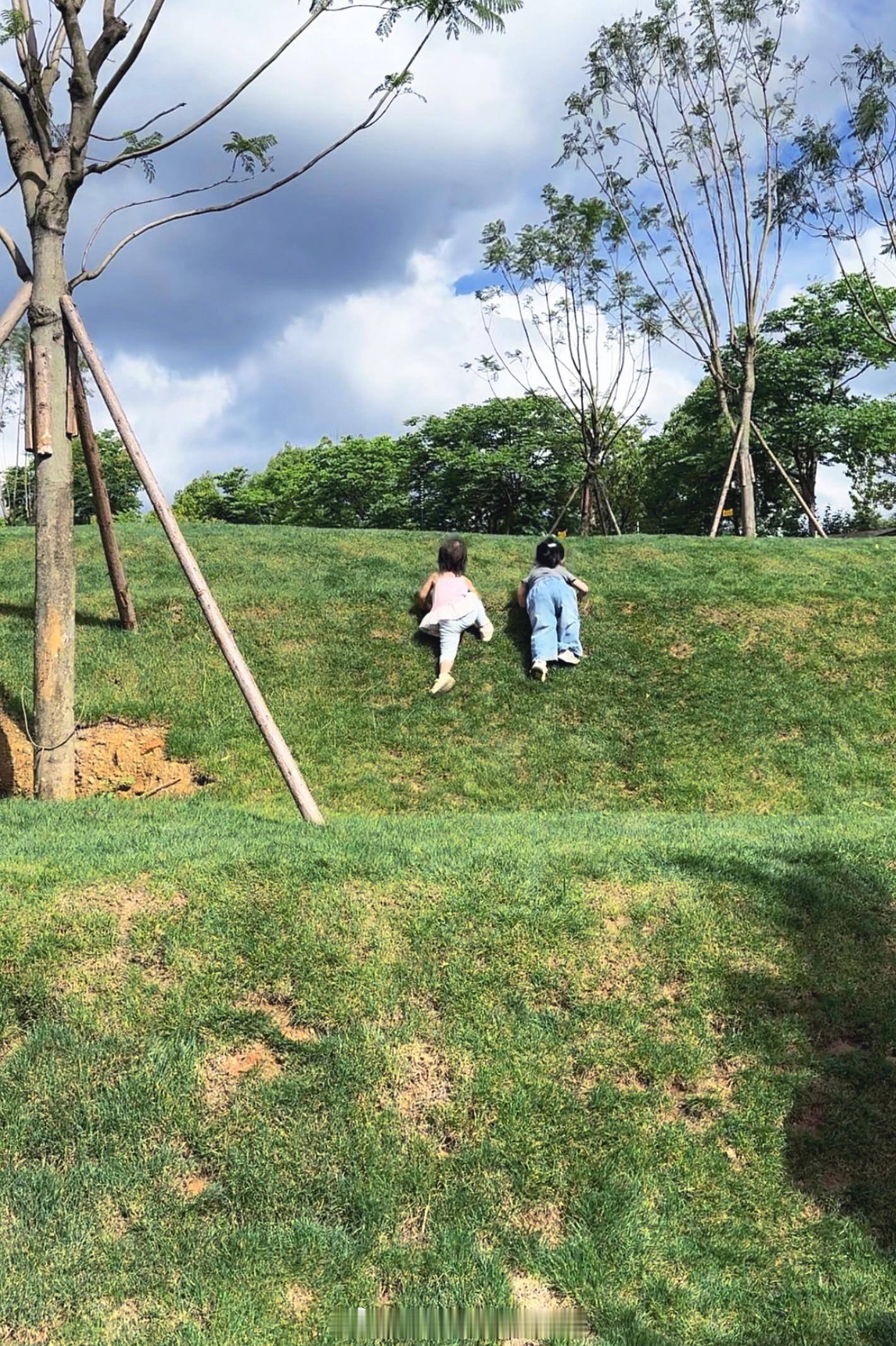 日常碎片plog随手拍 杨梅季的尾巴弄个杨梅巴斯克又和小姐妹们大户外了带娃日常生