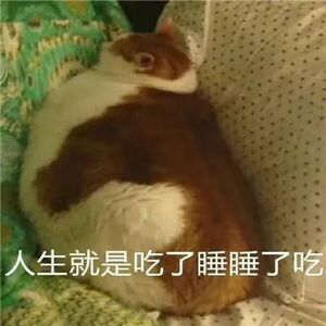 #现代人的口味为什么越来越重#为什么现代人的口味越来越重？或许是因为生活压力大，