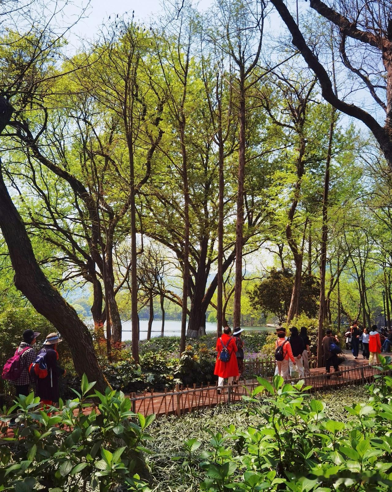 徒步杭州西湖杨公堤旁小众景点茅家埠村，茅家埠村位于‌西湖区杨公堤‌西侧，是西湖西
