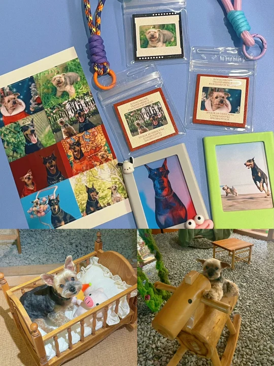 谁家小狗拥有独家冰箱贴和钥匙扣了啊？！