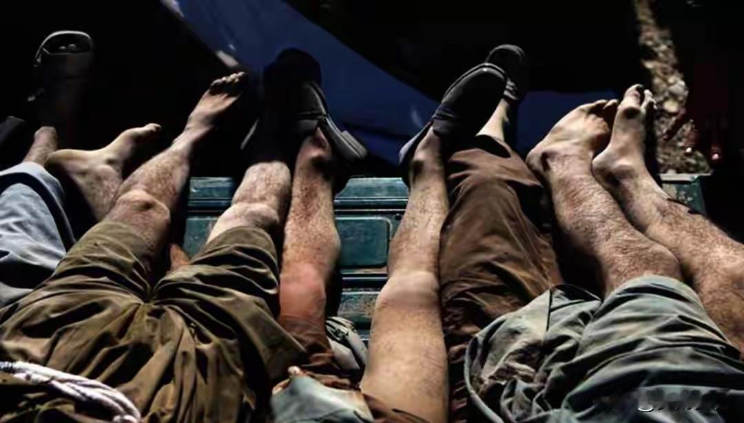 战场遗体无人管？别光看胜利多辉煌，这些战死士兵的结局太戳心！
 
每次打完仗活人