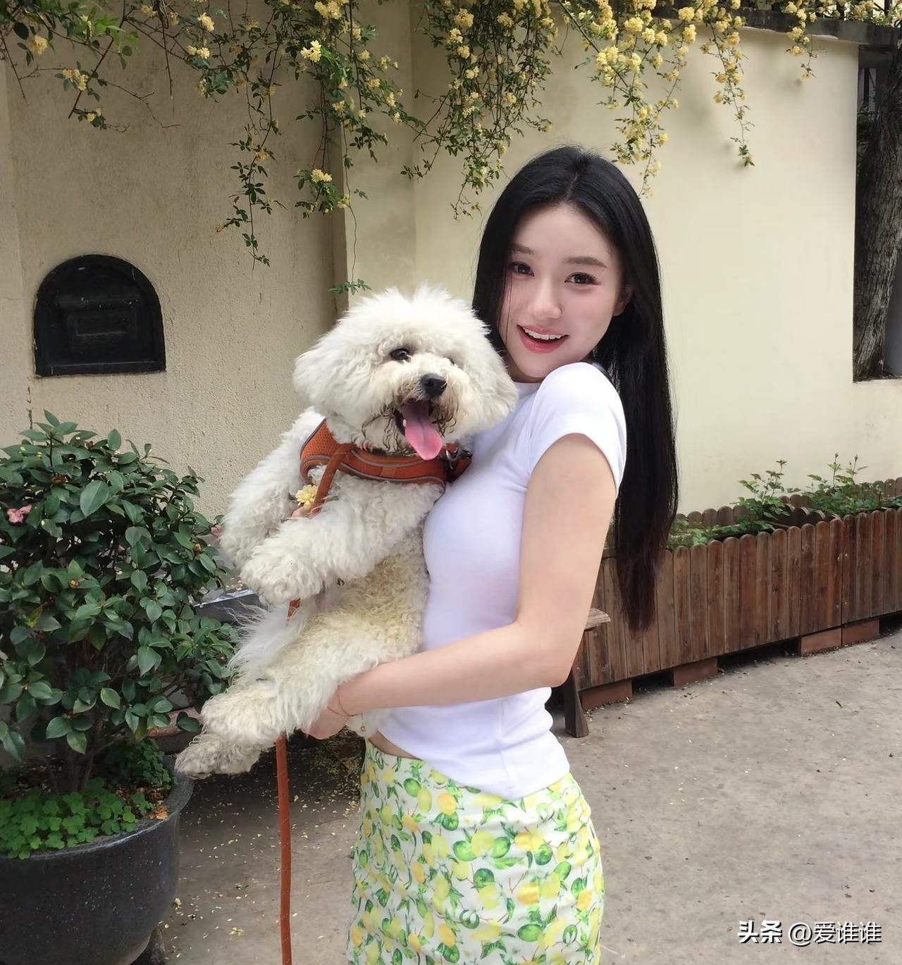 “狗比人贵！”年轻女孩把自己的宠物狗送进贵族“幼儿园”，每月费用高达一万二，就这